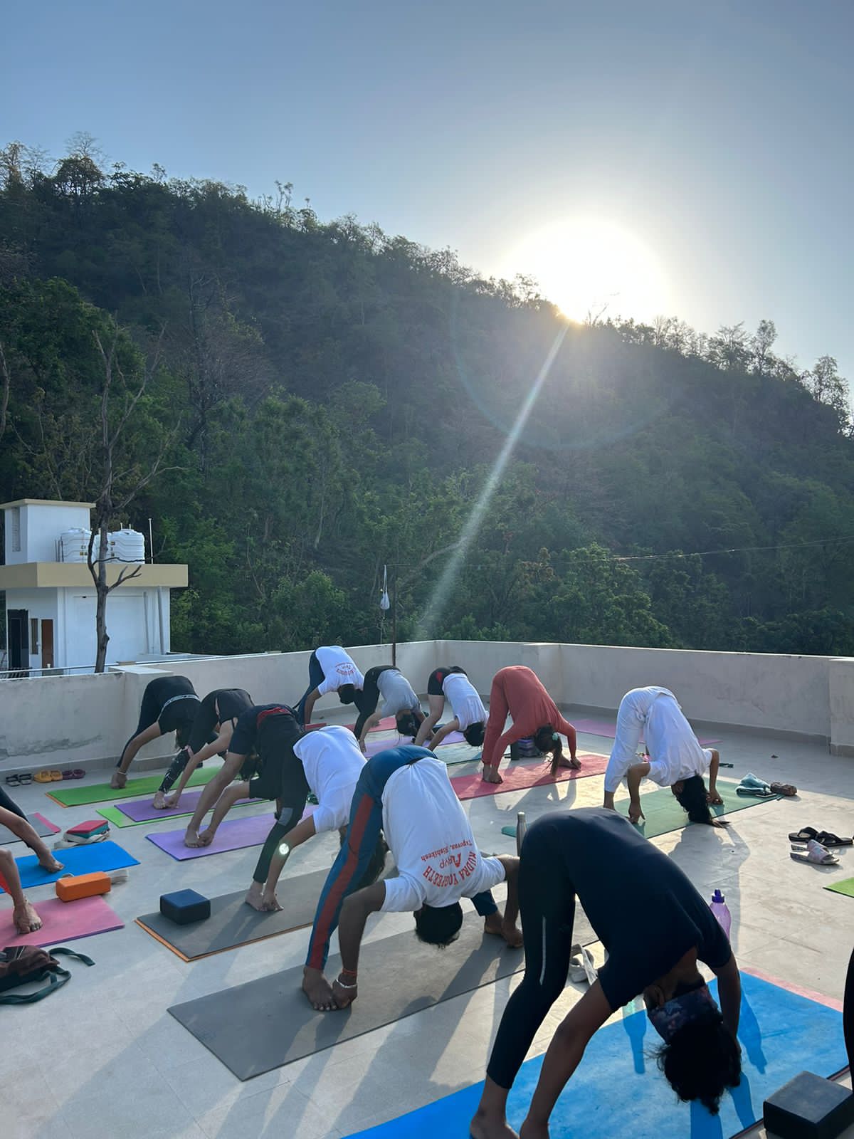 Therapeutic Yoga